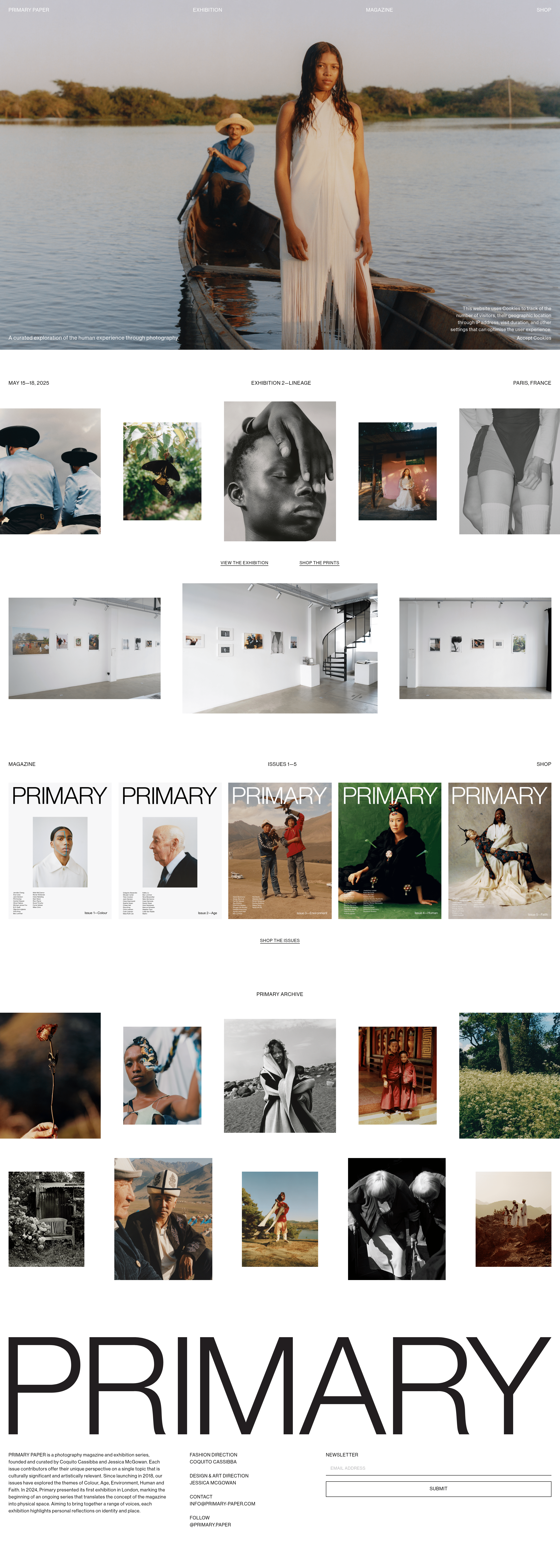 PRIMARY PAPER landing page screenshot